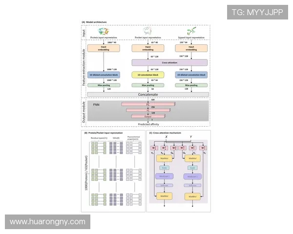 武汉乒乓球队速度表现分析揭示训练与比赛的关键因素与提升策略