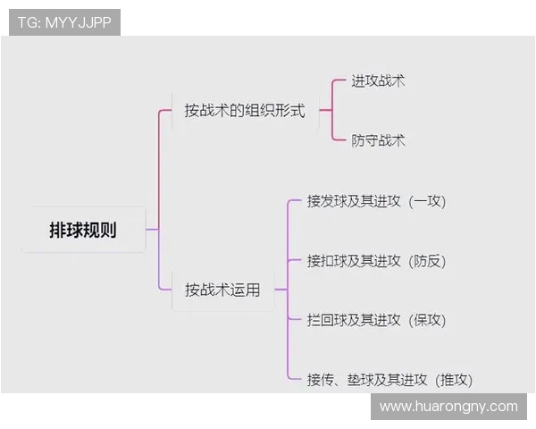 武汉排球队进攻体系解析:排球战术的创新与实践探讨