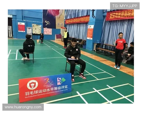 武汉羽毛球队个人能力分析与表现评估研究报告